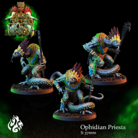 CG-A039- Ophidian Priests