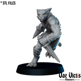 VVM-A033 - Tabaxi Gladiator