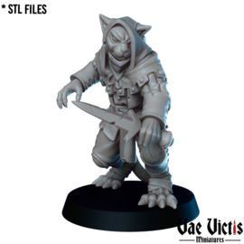 VVM-A146 - Tabaxi Bandit