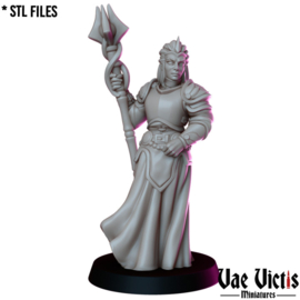 VVM-A100 - High Priestess