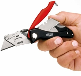 Bessey Knipmes (stanleymes) DBKPH