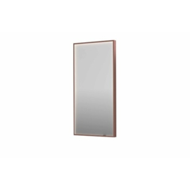 Spiegel Rechthoek In Kader - SP19- Direct LED - Spiegelverwarming - 500 x 1000 mm