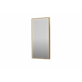 Spiegel Rechthoek In Kader - SP19- Direct LED - Spiegelverwarming - 500 x 1000 mm