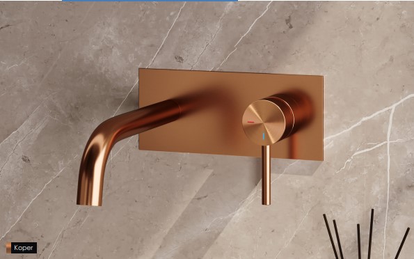 Brauer Edition Wastafelkraan Inbouw met afdekplaat Model 1