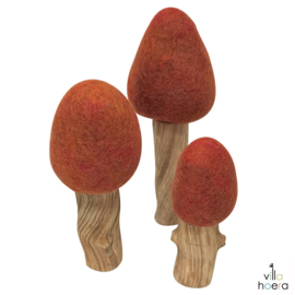 Papoose Set Bomen 'Herfst', 3 stuks