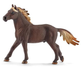 Schleich Mustang Hengst - 13805