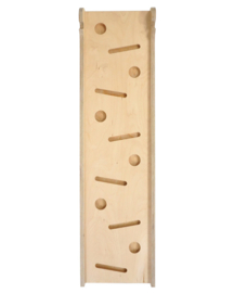 Triclimb - Miri Glijbaan/Klimplank