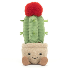 Jellycat Knuffel Cactus, Amuseable Moon Cactus, 21cm