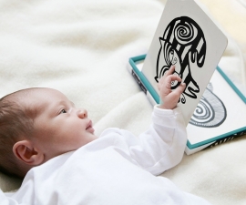 Wee Gallery Kijkkaarten, Baby Art Cards Pets