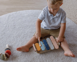 Plan Toys Xylofoon, Oval Xylophone, Orchard