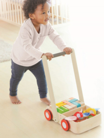 Plan Toys Loopwagen Blokkenkar 'Bird Walker'