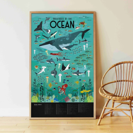 Poppik Sticker Poster, Oceaan, 6+