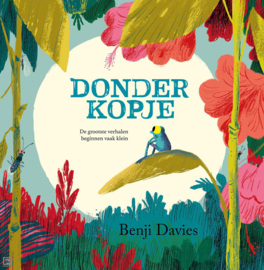 Donderkopje - Kartonboek - Benji Davies - Luitingh-Sijthoff