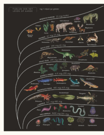 Het boek van de evolutie - Katie Scott en Ruth Symons - Lannoo