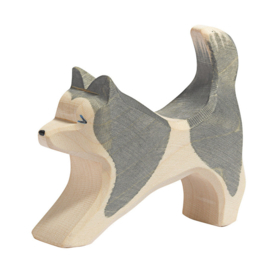 Ostheimer Houten Husky / Sledehond lopend