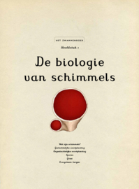 Het zwammenboek - Katie Scott en Ester Gaya - Lannoo