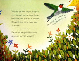 Dieren op reis - Patricia Hegarty - Veltman