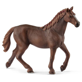 Schleich Engelse volbloed merrie - 13855