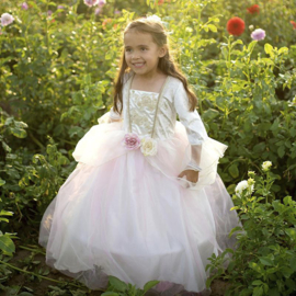 Prinsessenjurk Golden Rose Princess Dress, 5-6 jaar