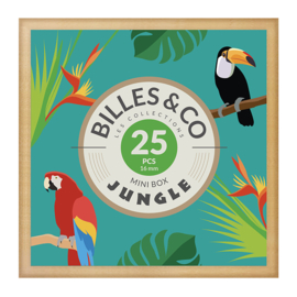 Billes & Co Knikkers in doosje, Mini Box Jungle, 25 stuks