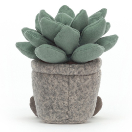 Jellycat Knuffel Plant Azulita, Silly Succulent Azulita,16cm