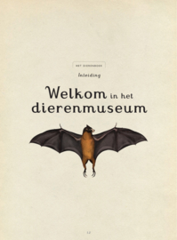 Het dierenboek - Katie Scott en Jenny Broom - Lannoo