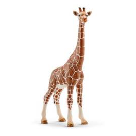 Schleich Giraffe wijfje - 14750