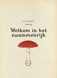 Het zwammenboek - Katie Scott en Ester Gaya - Lannoo