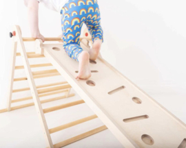 Triclimb - Miri Glijbaan/Klimplank