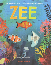 Zee, de magische onderwaterwereld - Britta Teckentrup - Veltman