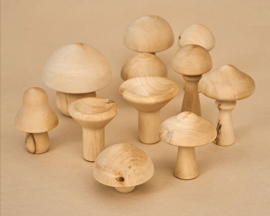 Raduga Grëz Houten Paddenstoelen Set Naturel, 11-delig