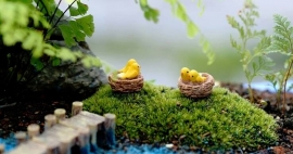 Miniatuur Vogel nestje