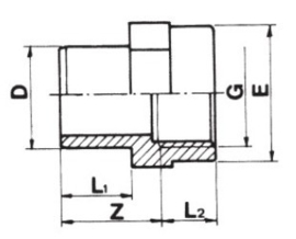 50-40 x 2" Inzetschroefbus Lijm / binnendraad PN=10 #!