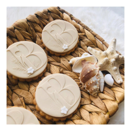 workshop fondant koekjes  . zondag 2 november