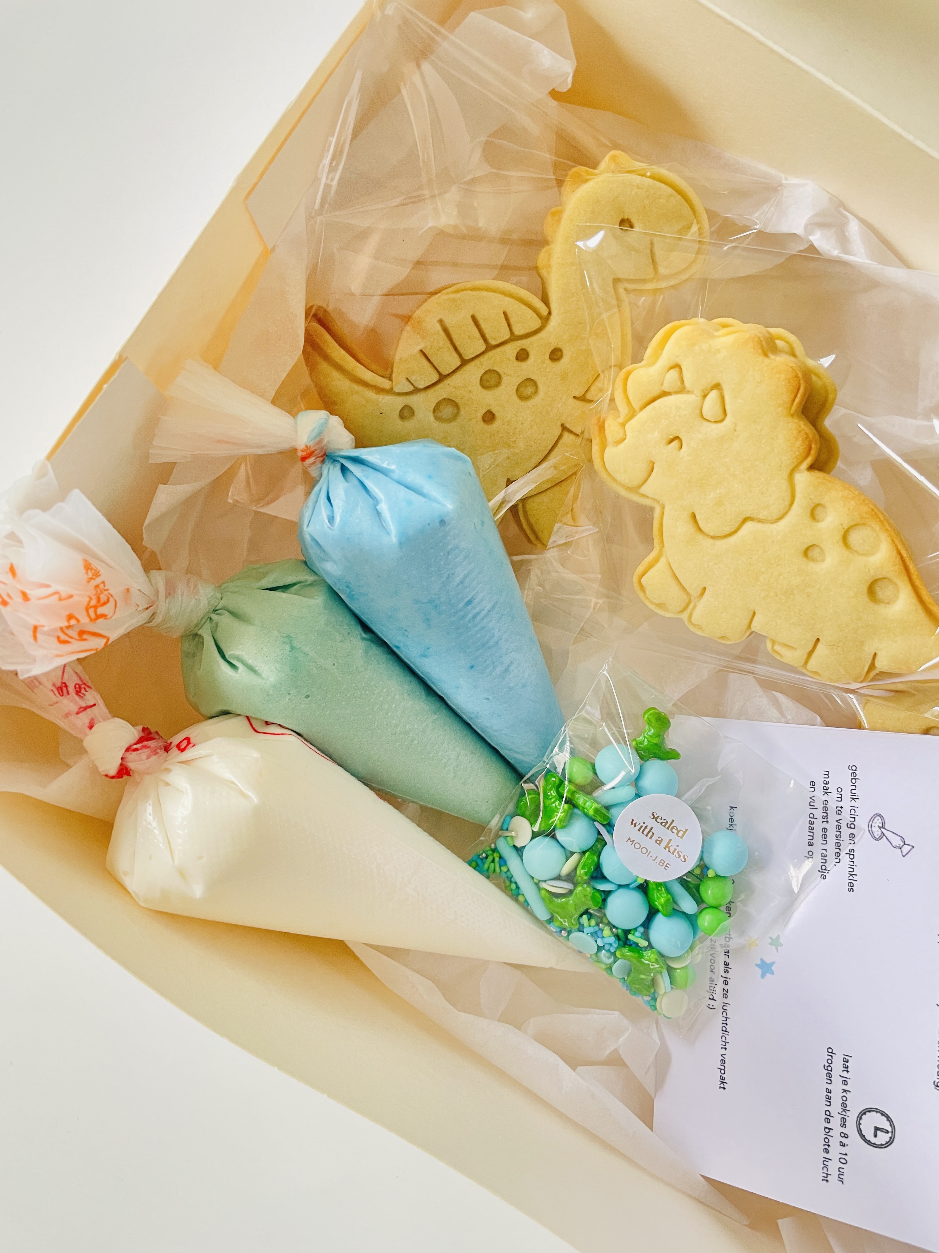 DIY box dino's