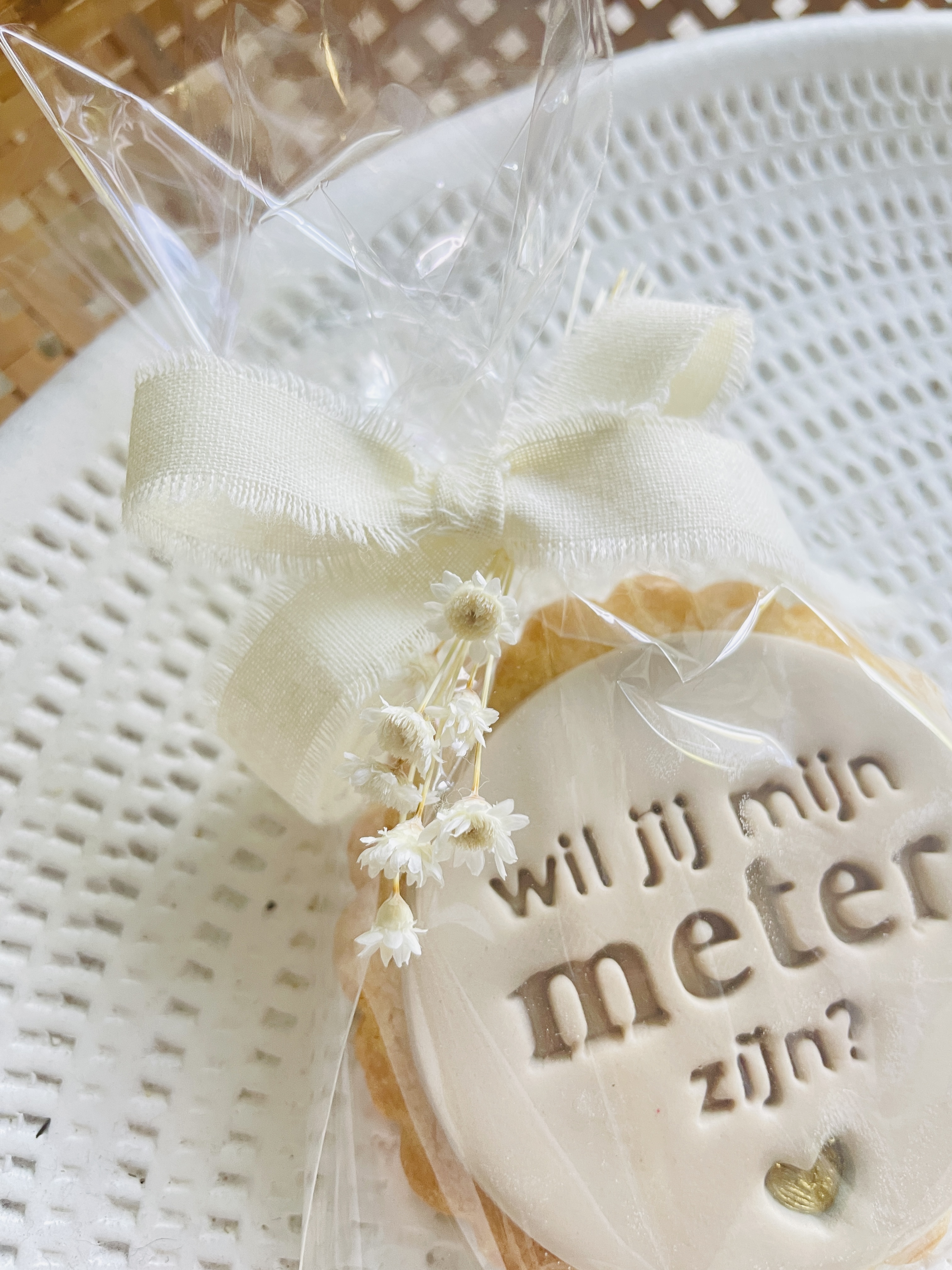 koekje "wil je mijn meter zijn?"