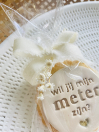 koekje "wil je mijn meter zijn?"