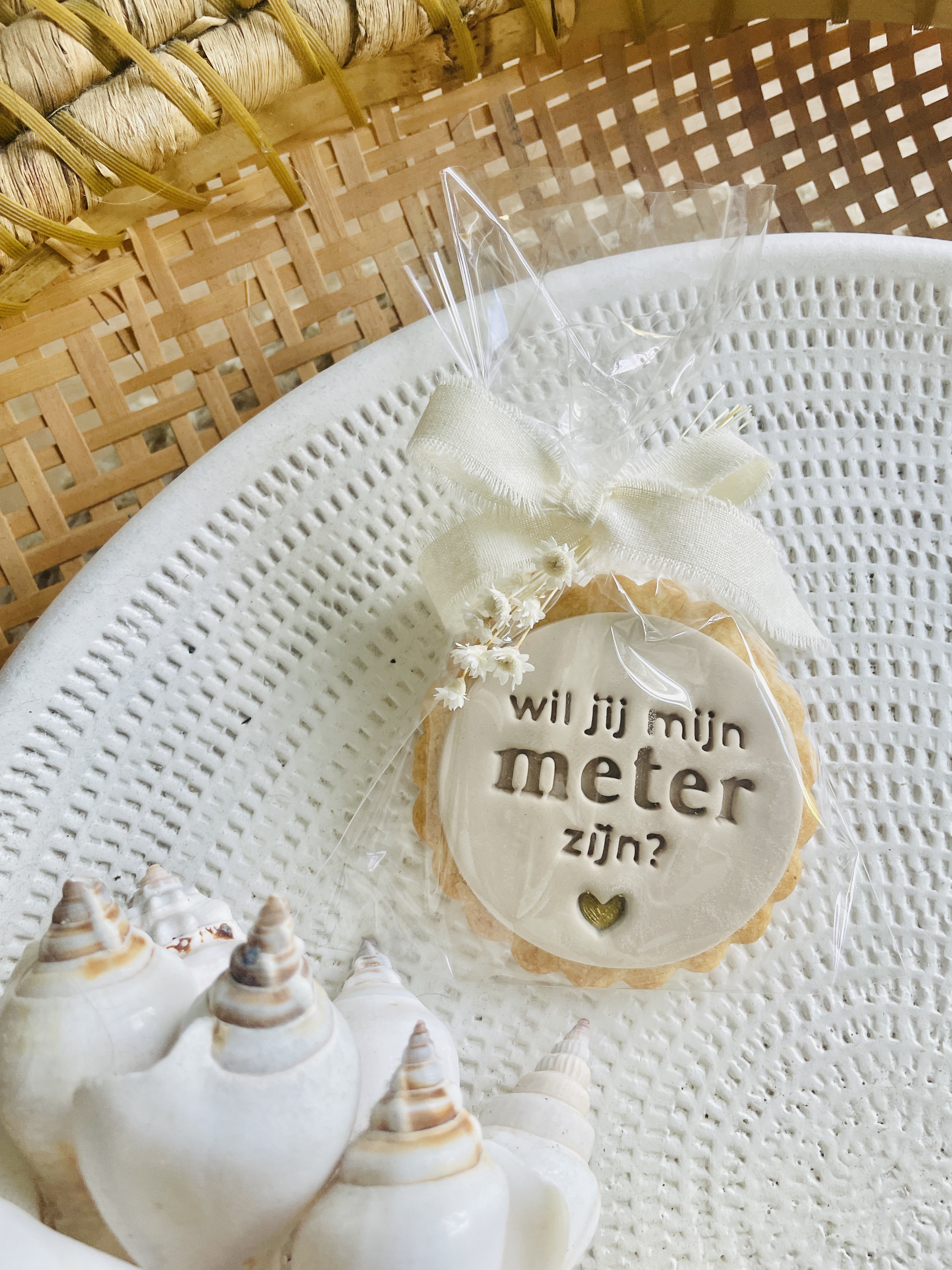 koekje "wil je mijn meter zijn?"