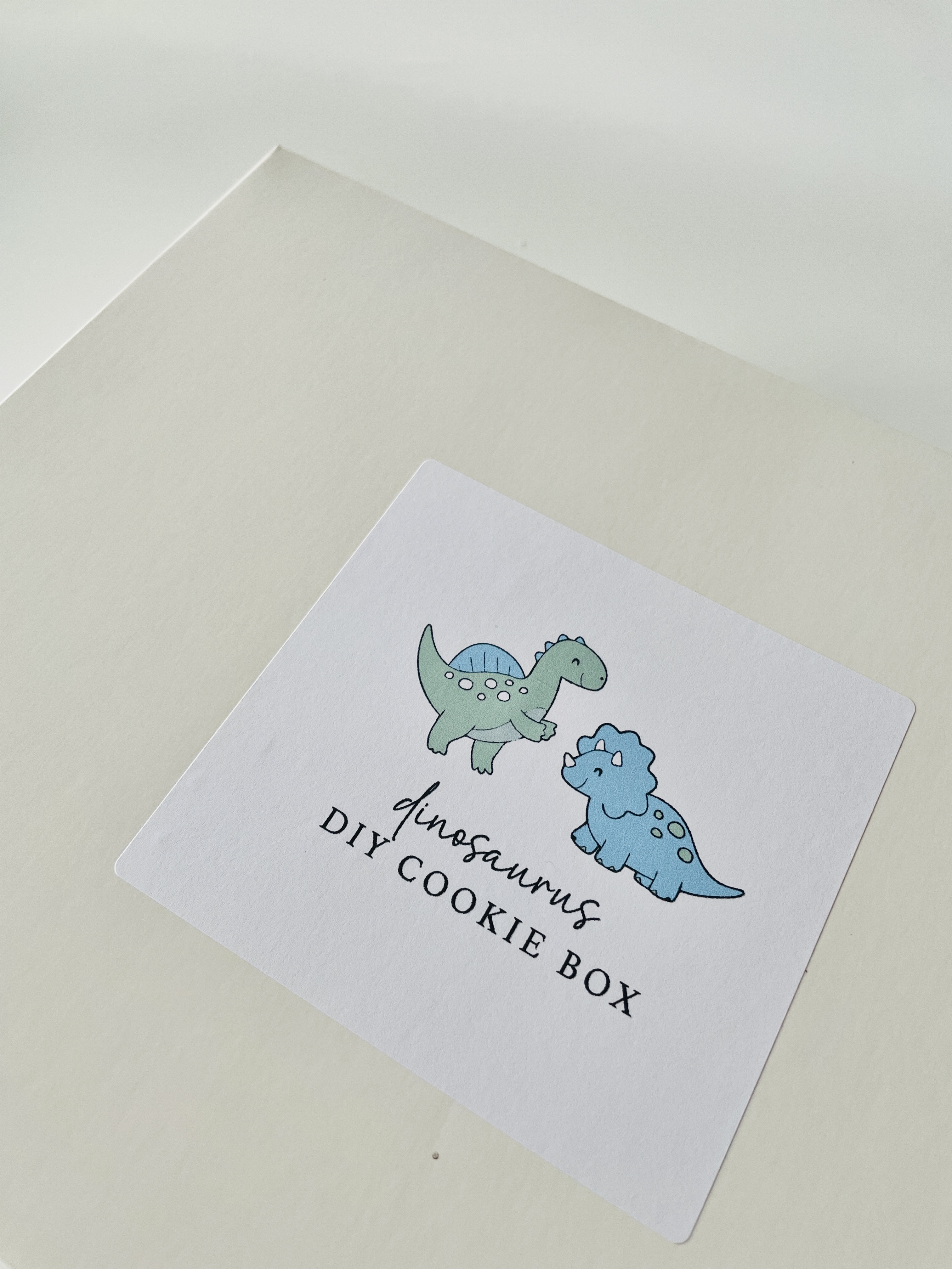 DIY box dino's