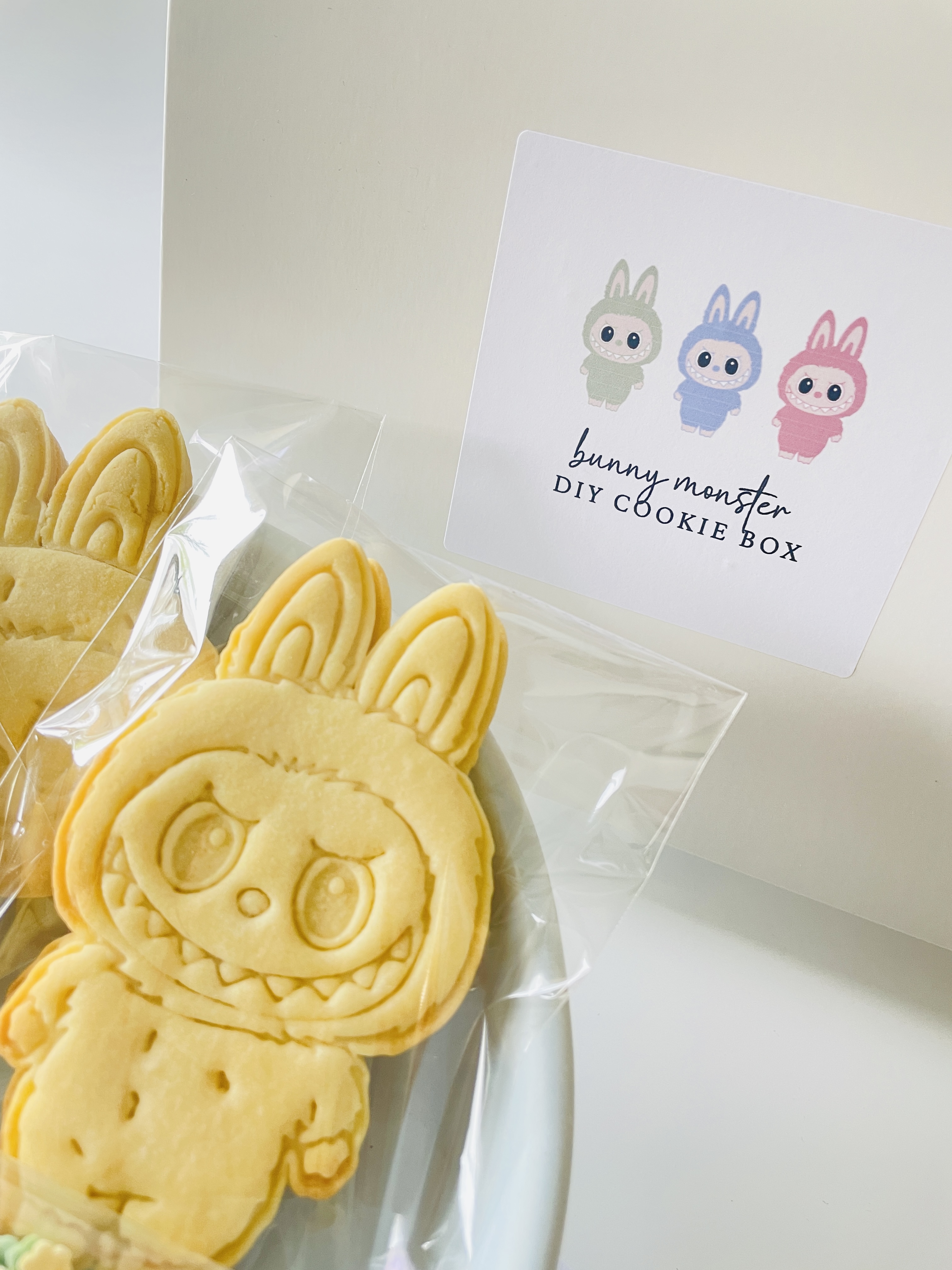 DIY box bunny monsters . ROZE