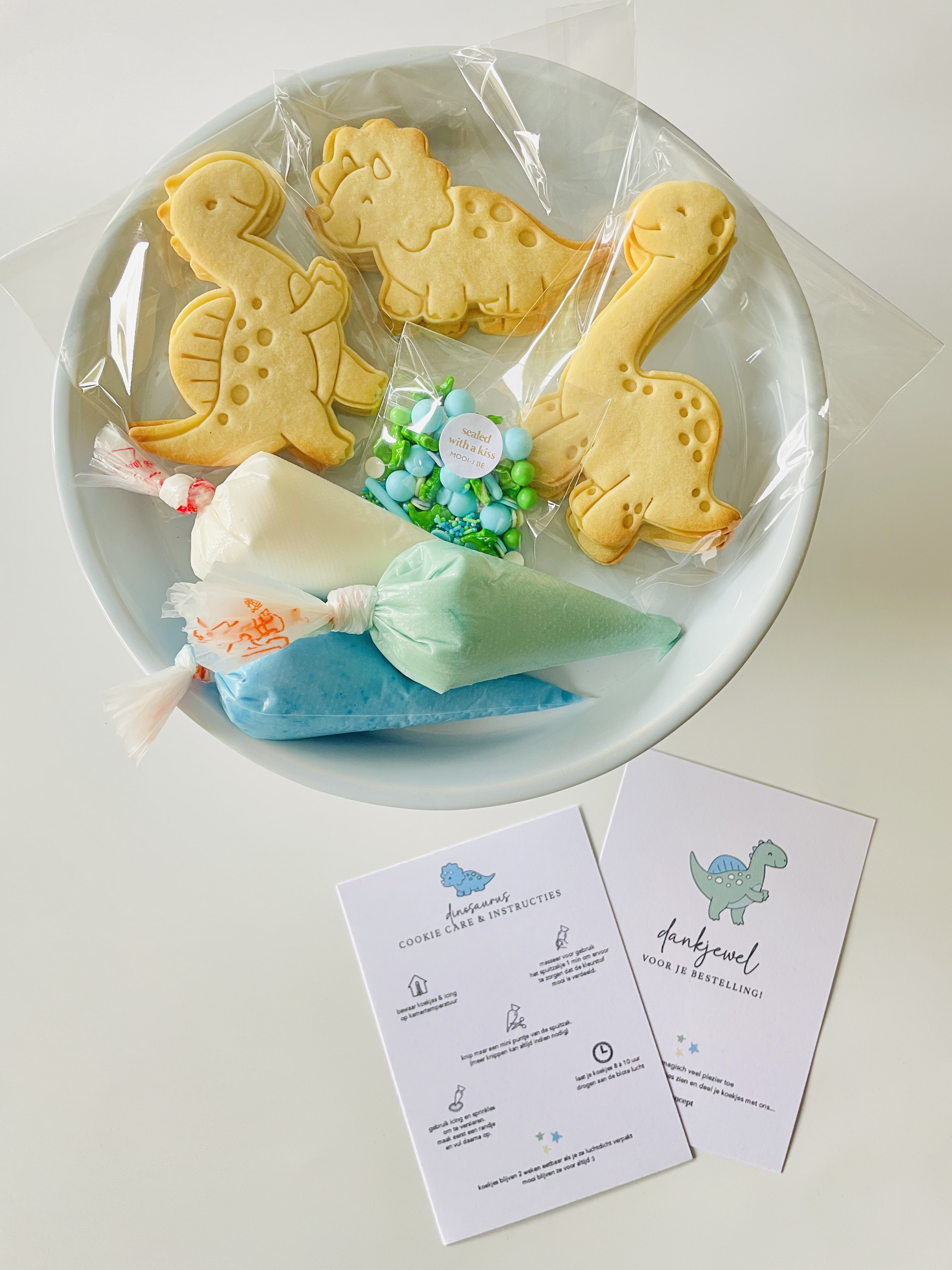 DIY box dino's