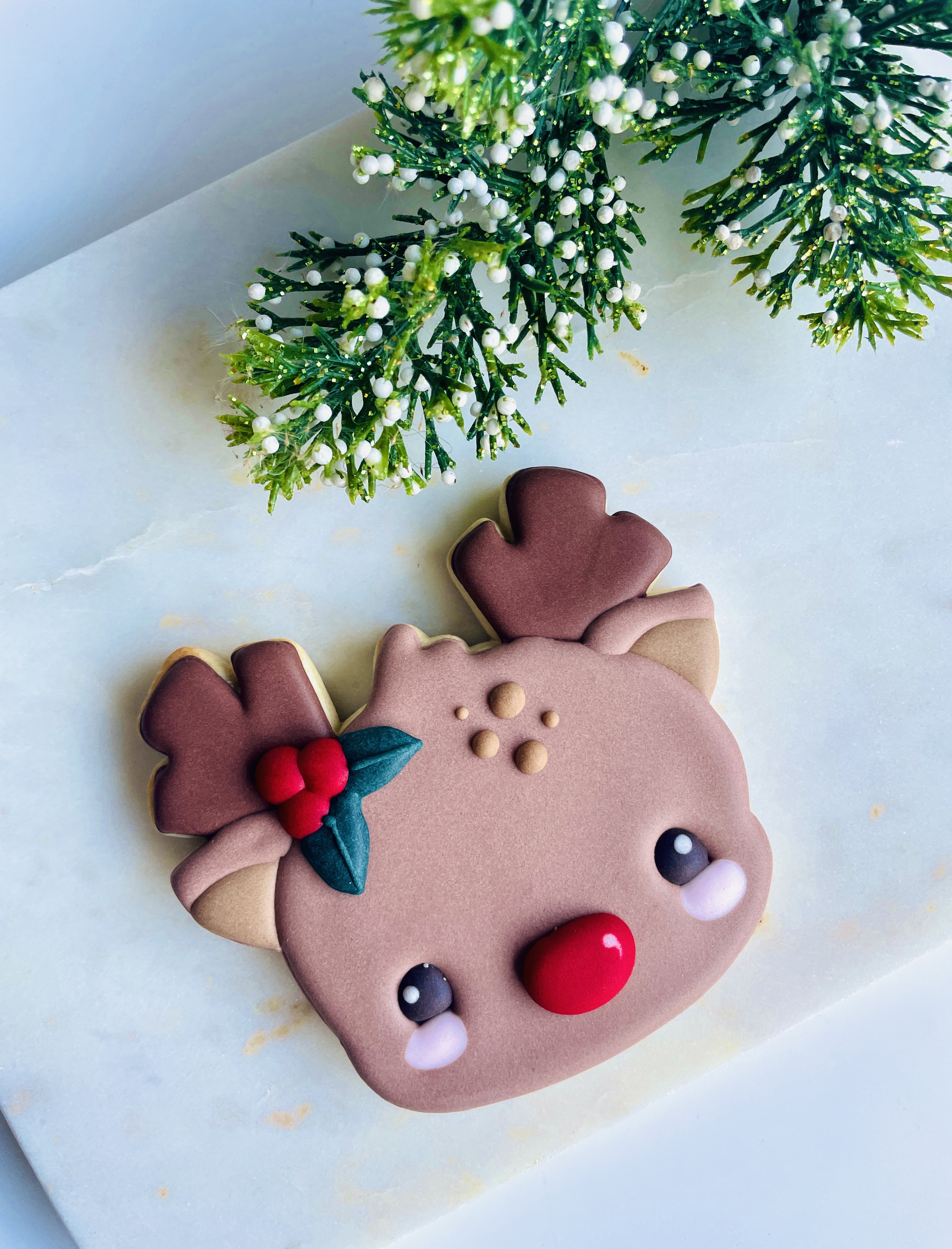 koekjes workshop . kerst . woensdag 17 december 2025