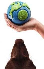Planet Dog Orbee Planet Ball