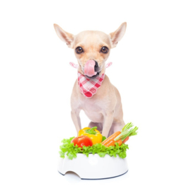 Kan mijn hond veganistisch of vegetarisch eten?