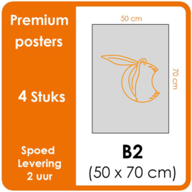B2 Posters - Premium posters.   Print Formaat: 500mm x 700mm Posterpapier: photo paper mat 200 gm²  [4 STUK]
