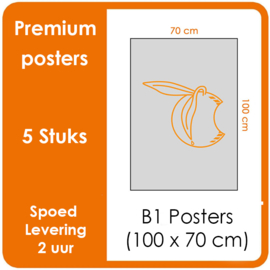 B1 Posters - Premium posters.   Print Formaat: 100 x 70 cm.  Posterpapier: photo paper mat 200 gm²  [5  STUK]