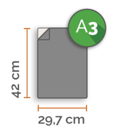 75 X A3 42x29.7cm enkelzijdig full colour