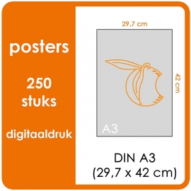 A3 Posters - prijs voor 250 stuks. Print Formaat: 420mm x 297mm.papier: DCP Wit 160 gm² (Prijs Per pack. Print in Full color)