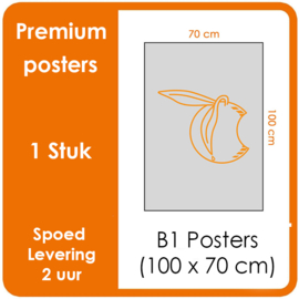 B1 Posters - Premium posters.   Print Formaat: 100 x 70 cm.  Posterpapier: photo paper mat 200 gm²  [1 STUK]