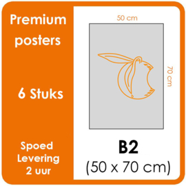 B2 Posters - Premium posters. Print Formaat: 500mm x 700mm Posterpapier: photo paper mat 200 gm²  [6 STUK]